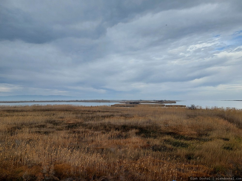 дельта Эбре, el delta de l'Ebre, Эбре, Riumar, Deltebre