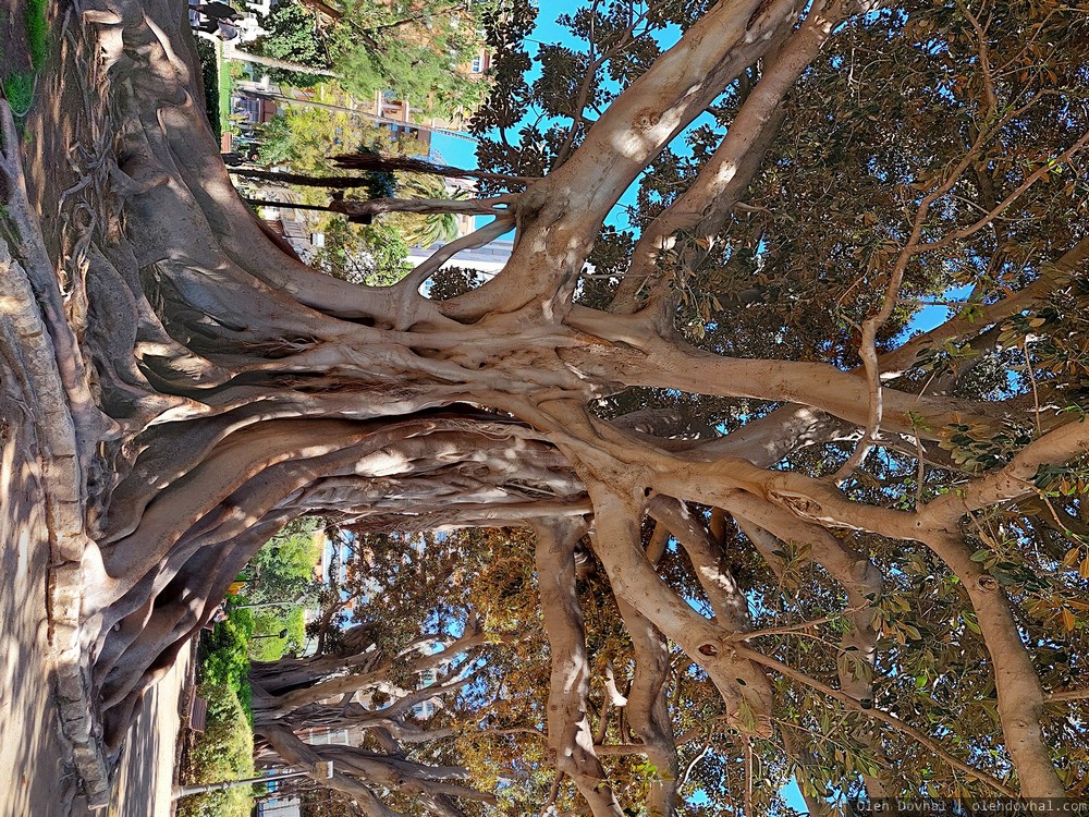 jardins de la Glorieta, jardines de la Glorieta, València, Валенсия